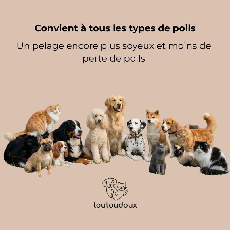 Brosse avec brume, antistatique & démêlante