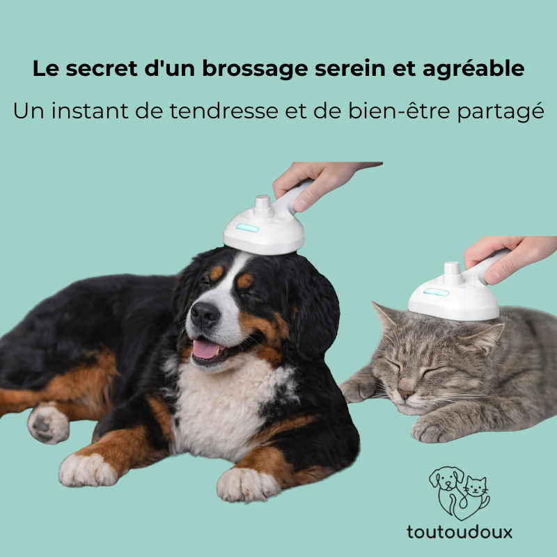 Brosse avec brume, antistatique & démêlante