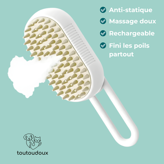 Brosse avec brume, silicone