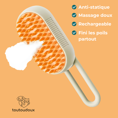 Brosse avec brume, silicone