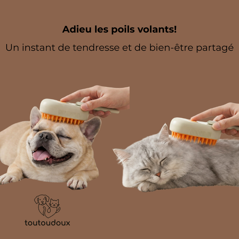 Brosse avec brume, silicone