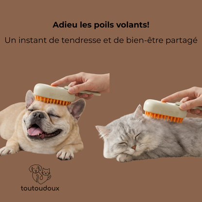 Brosse avec brume, silicone