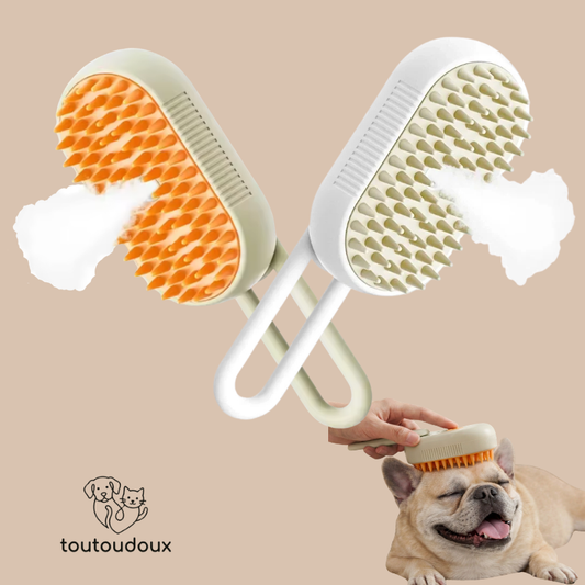 Brosse avec brume, silicone