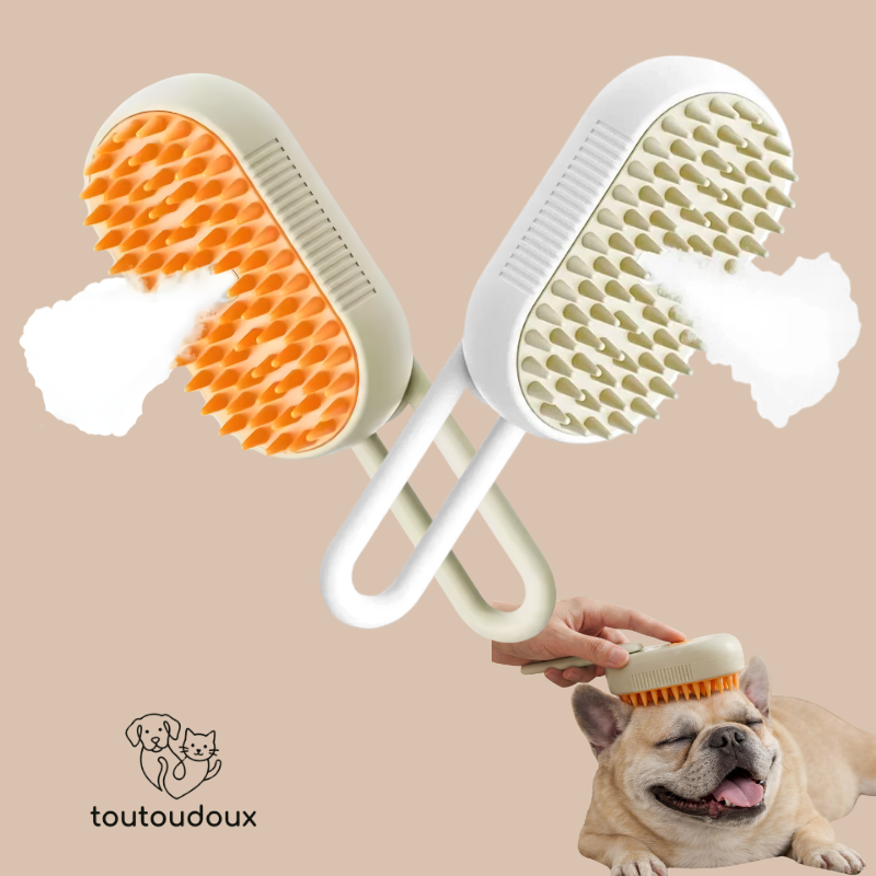 Brosse avec brume, silicone